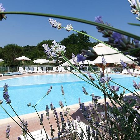 Il Borgo Centro Vacanze Guardistallo Dış mekan fotoğraf