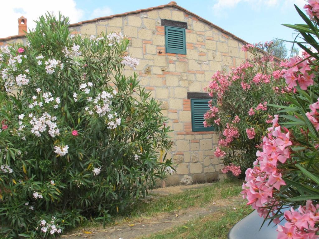 Il Borgo Centro Vacanze Guardistallo Oda fotoğraf