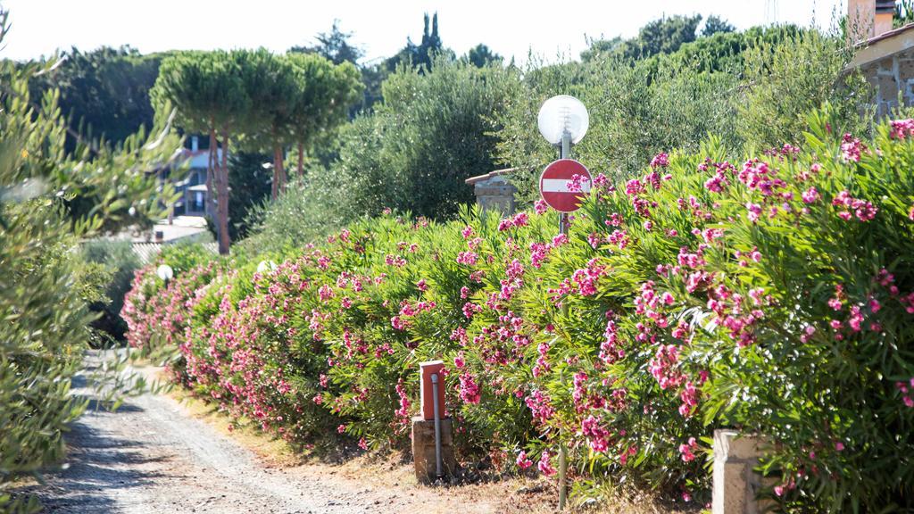 Il Borgo Centro Vacanze Guardistallo Dış mekan fotoğraf