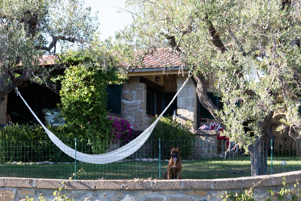 Il Borgo Centro Vacanze Guardistallo Dış mekan fotoğraf